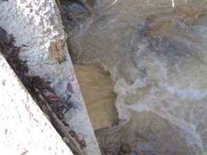 bridge - fast flowing water2 4-1-14