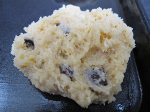 uncooked biscuit - close-up 15-2-14