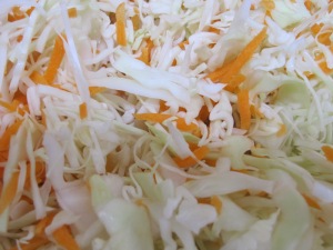 cabbage & carrot, chopped 24-8-15
