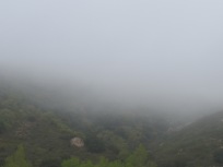 misty-valley13
