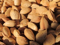 almonds, close-up